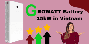 Growatt Battery 15kW in Vietnam