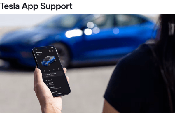 Cool How To Check Tesla Warranty Photos