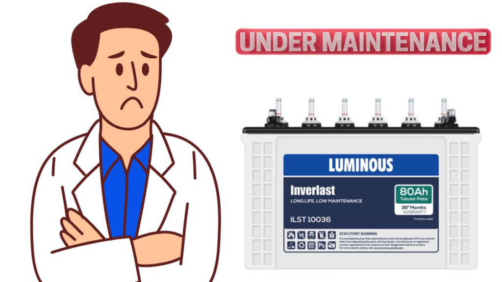 Common Concerns About Luminous Batteries